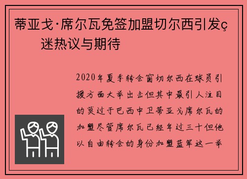 蒂亚戈·席尔瓦免签加盟切尔西引发球迷热议与期待